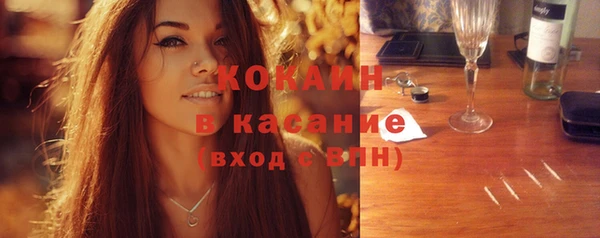 шишки Снежногорск