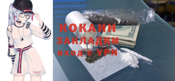 apvp Вяземский