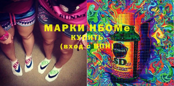 шишки Снежногорск