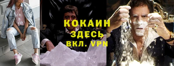 молекула духа Сосновый Бор