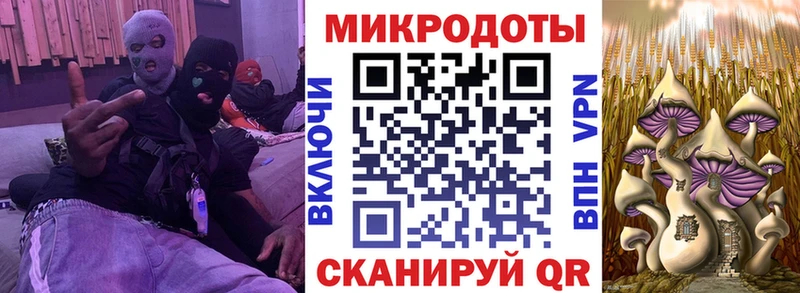 Галлюциногенные грибы MAGIC MUSHROOMS  Вуктыл 
